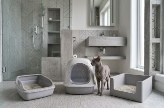 Кот возле лотков